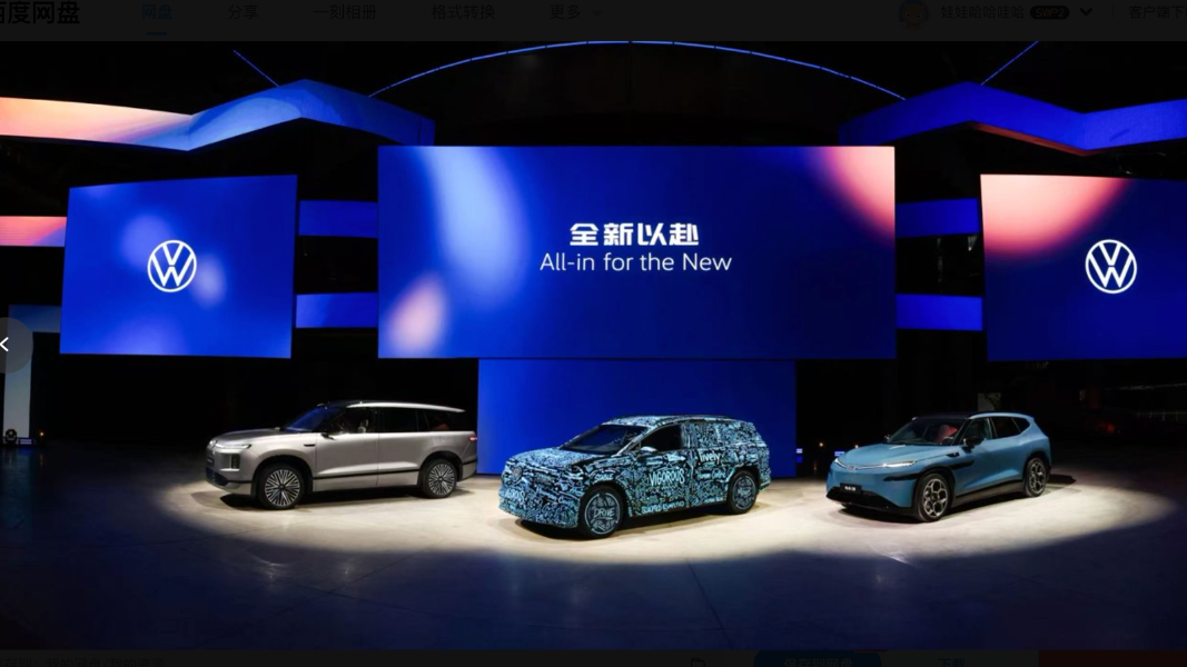 Volkswagen Brand: A Major Test for Three Joint Ventures