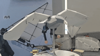 Seeds|University Team Develops Bionic Flapping-Wing Robots, Raises Tens of Millions of Yuan
